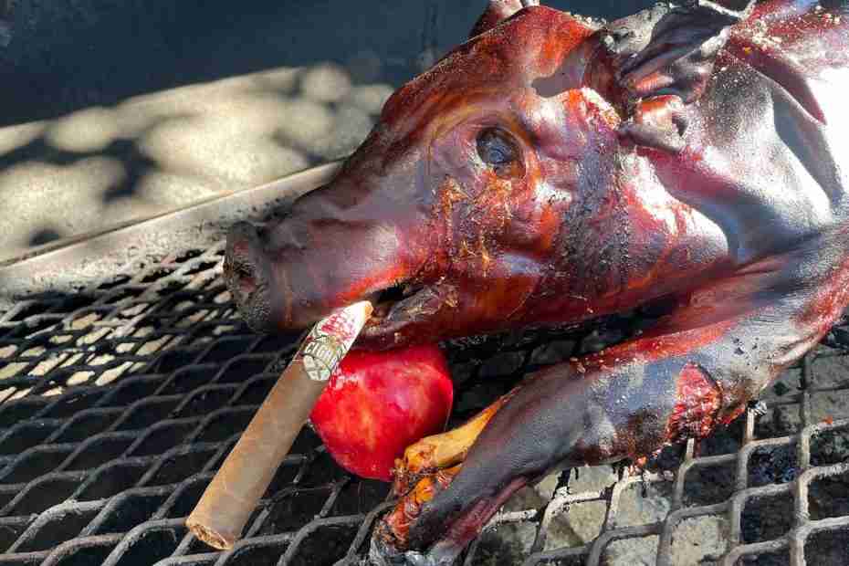 A whole roasted pig with crispy, dark caramelized skin rests on a metal barbecue grate, holding a bright red apple and a premium cigar with a distinctive white and gold band in its mouth.